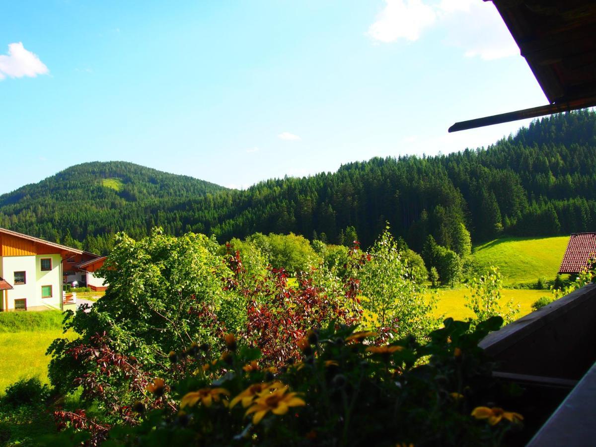 Appartment Kainhofer Sankt Martin am Tennengebirge Kültér fotó