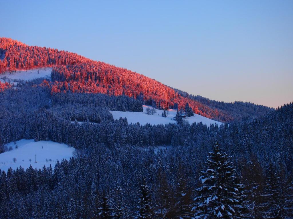 Appartment Kainhofer Sankt Martin am Tennengebirge Kültér fotó