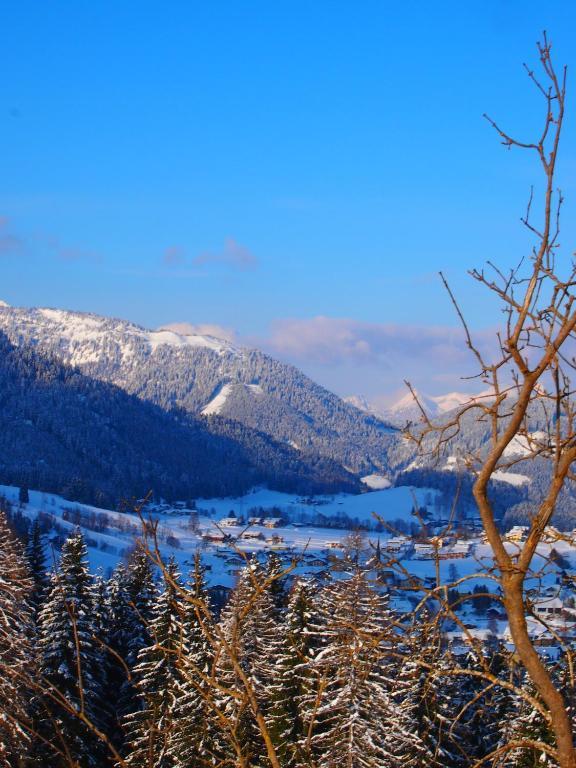 Appartment Kainhofer Sankt Martin am Tennengebirge Kültér fotó