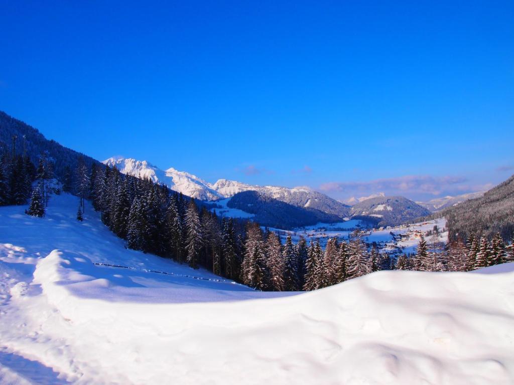 Appartment Kainhofer Sankt Martin am Tennengebirge Kültér fotó