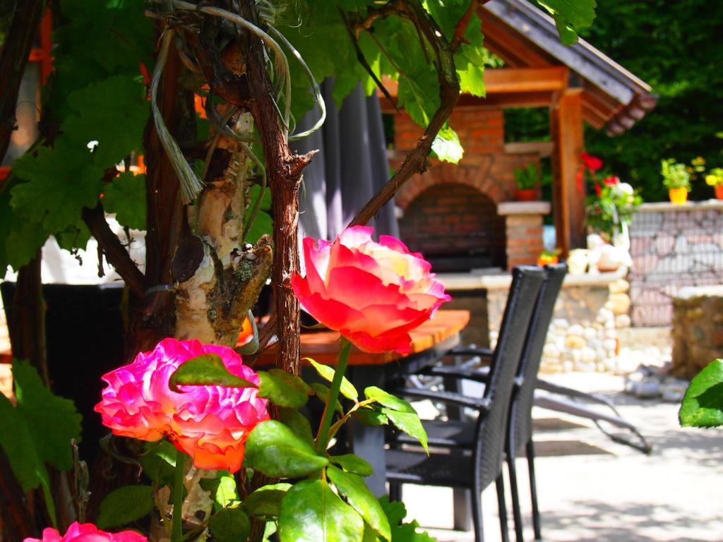 Appartment Kainhofer Sankt Martin am Tennengebirge Szoba fotó